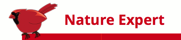 Capture d’écran 2017-10-30 à 10.02.55.png